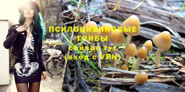 jwh Вяземский