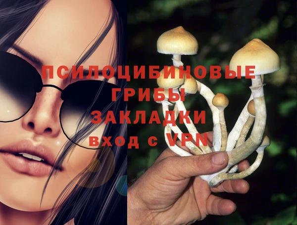 jwh Вяземский